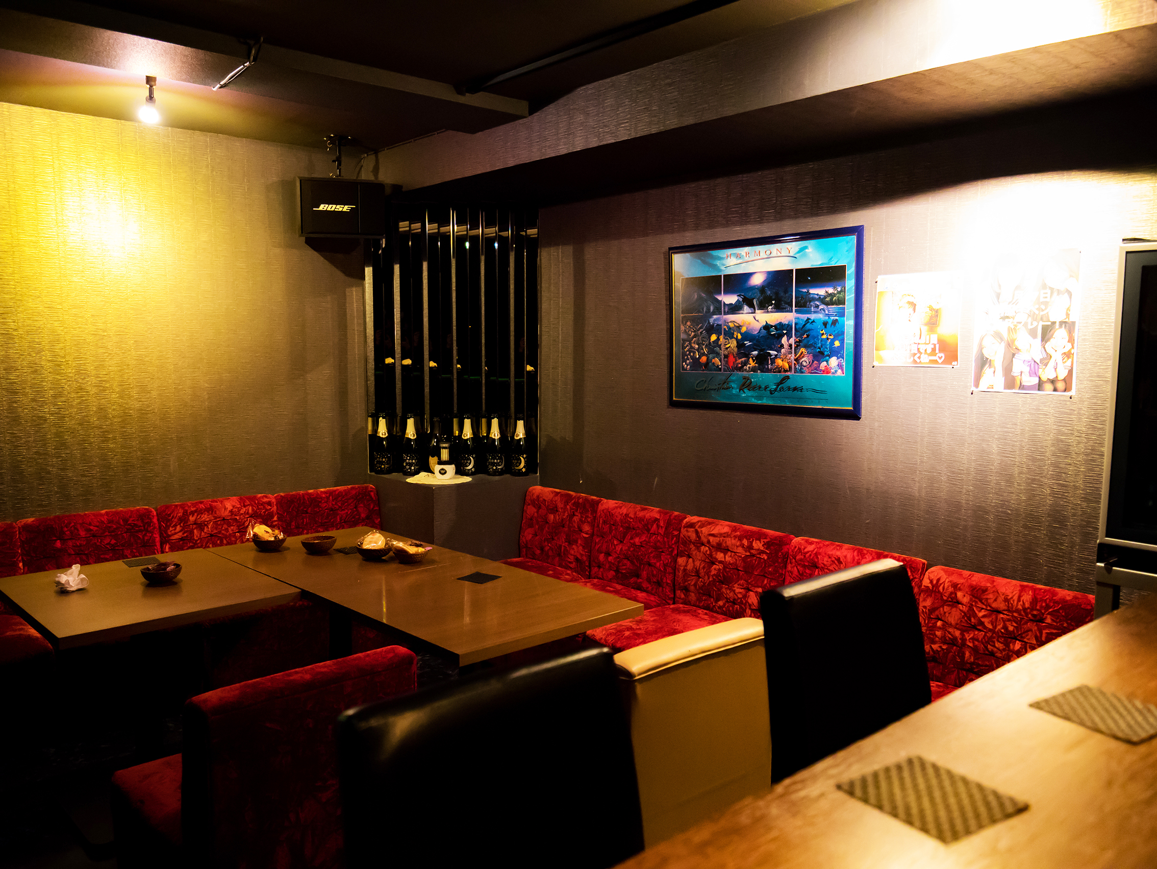 ラフィーヌ西心斎橋　一部内観